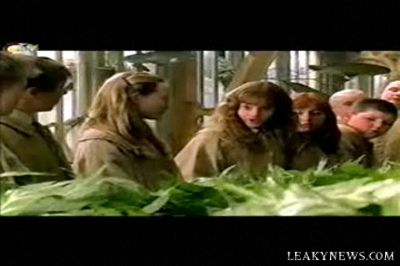 Normal_citv 2002 23